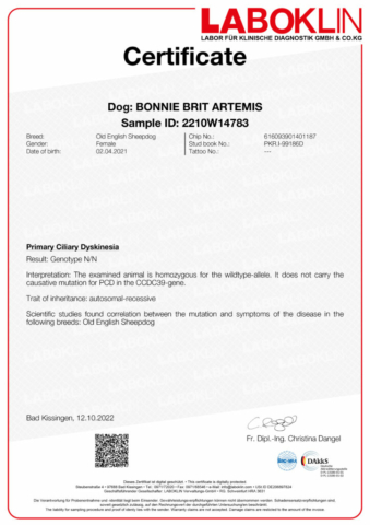 Certificate-2210W14783-8483