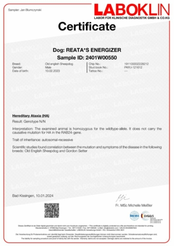 Certificate-2401W00550-3501