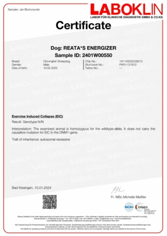 Certificate-2401W00550-7916