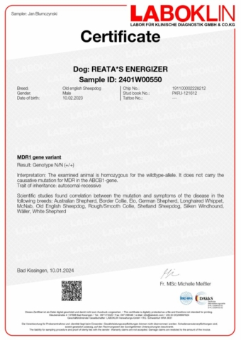 Certificate-2401W00550-8043